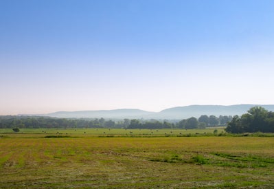 Large open field with round hale bales in the distance