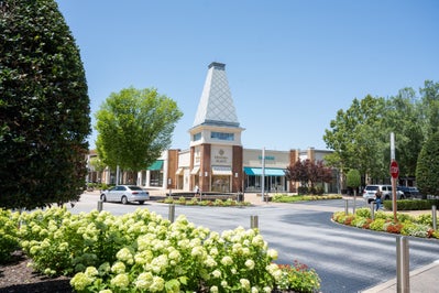 Local mall with natural trees and white flowers near the sidewalk