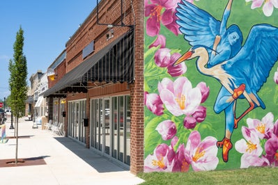 Mural art with woman and bird in Downtown Bentonville, AR